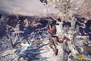 怪物猎人：世界 冰原 +中文版，直接玩