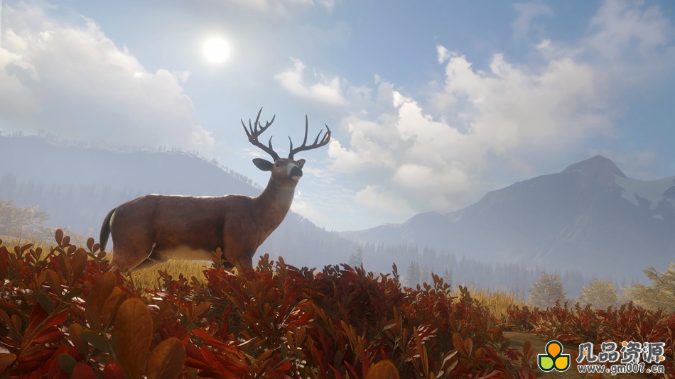 猎人：野性的呼唤+集成新英格兰山脉DLC+全DLCs+中文版，直接玩