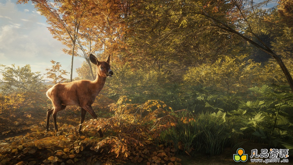 猎人：野性的呼唤+集成新英格兰山脉DLC+全DLCs+中文版，直接玩
